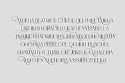 Ronedia Stylish Sans Font, a Sans Serif Font by RantautypeStudio (Thumbnail 4 of 17)