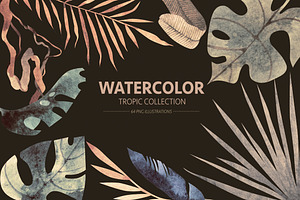 Watercolor Tropic Collection