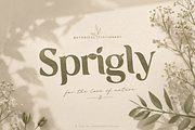 Ekainos Font: Nature Botanical Serif, a Serif Font by Letterhanna Studio (Thumbnail 6 of 9)