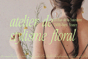 Atelier Femme // Modern Script