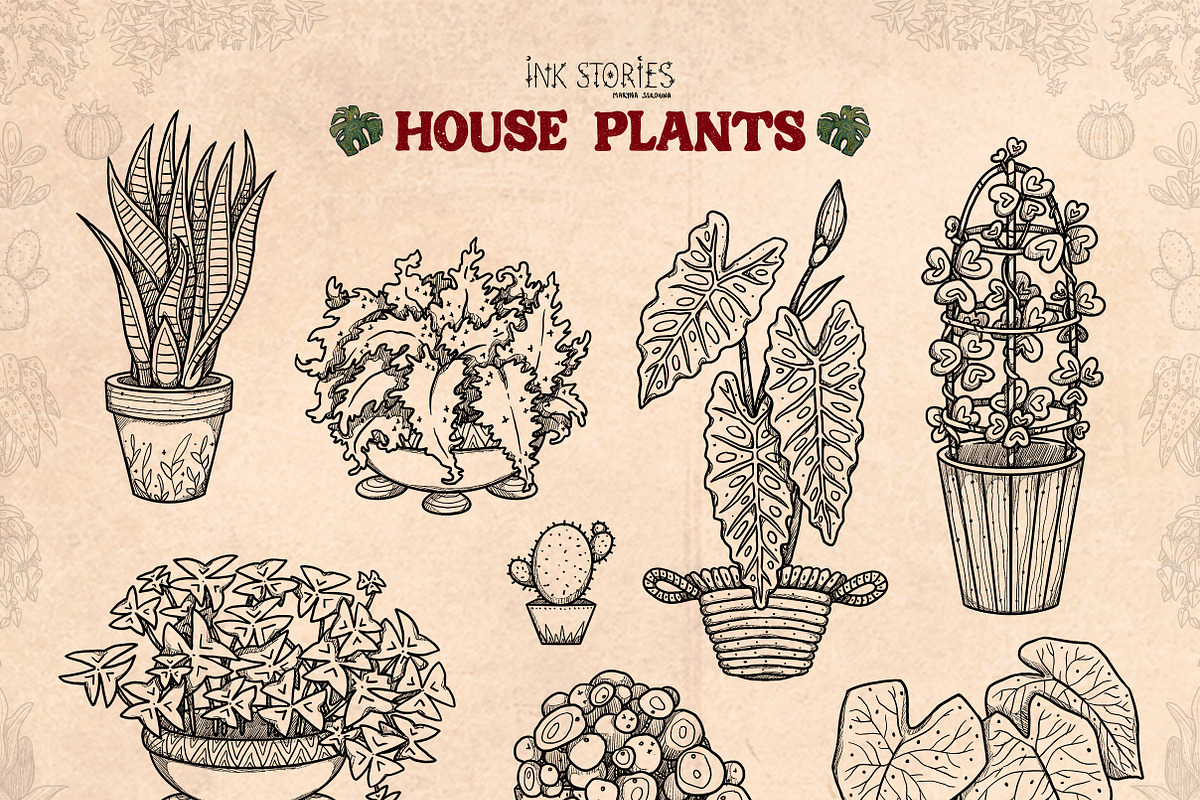 House Plants, an Object Illustration by Ink Stories (Photo 3 of 23)