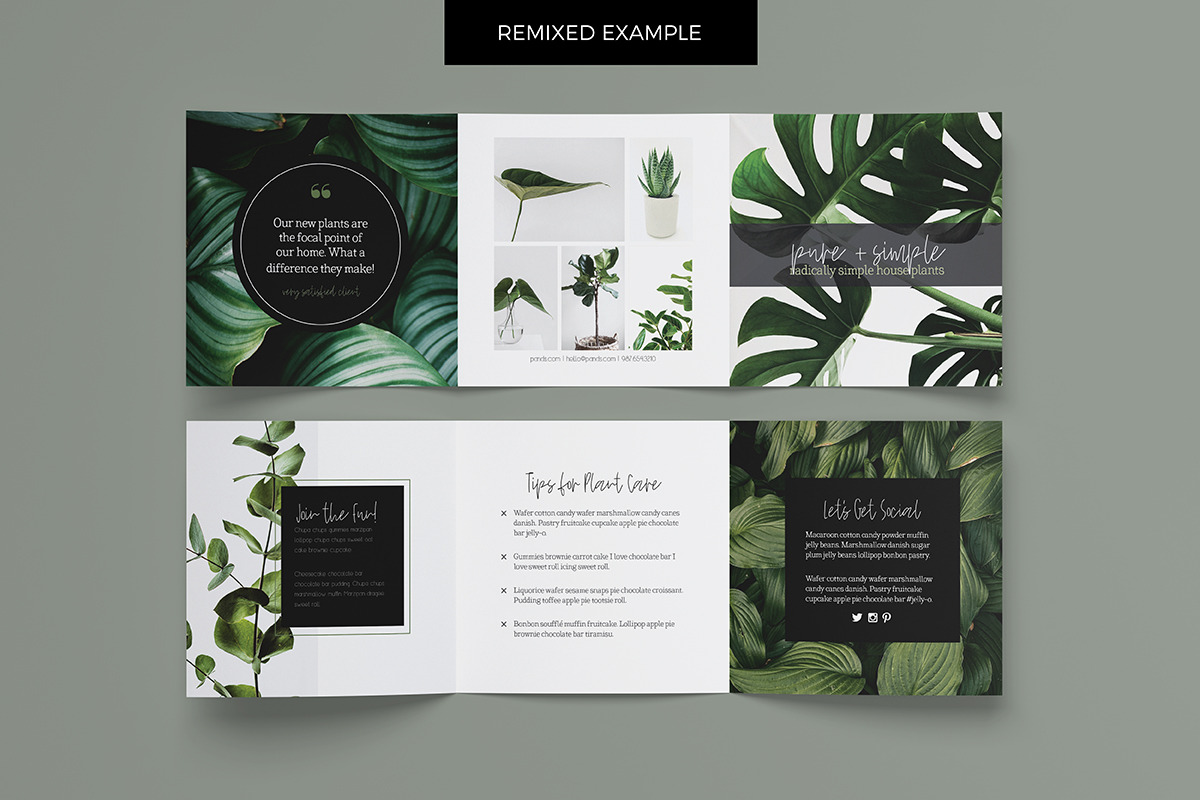 5x5 Trifold Template for InDesign, a Brochure Template by Khara Plicanic (Photo 5 of 5)