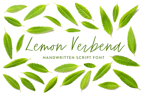 Lemon Verbena Handwritten Font preview 7