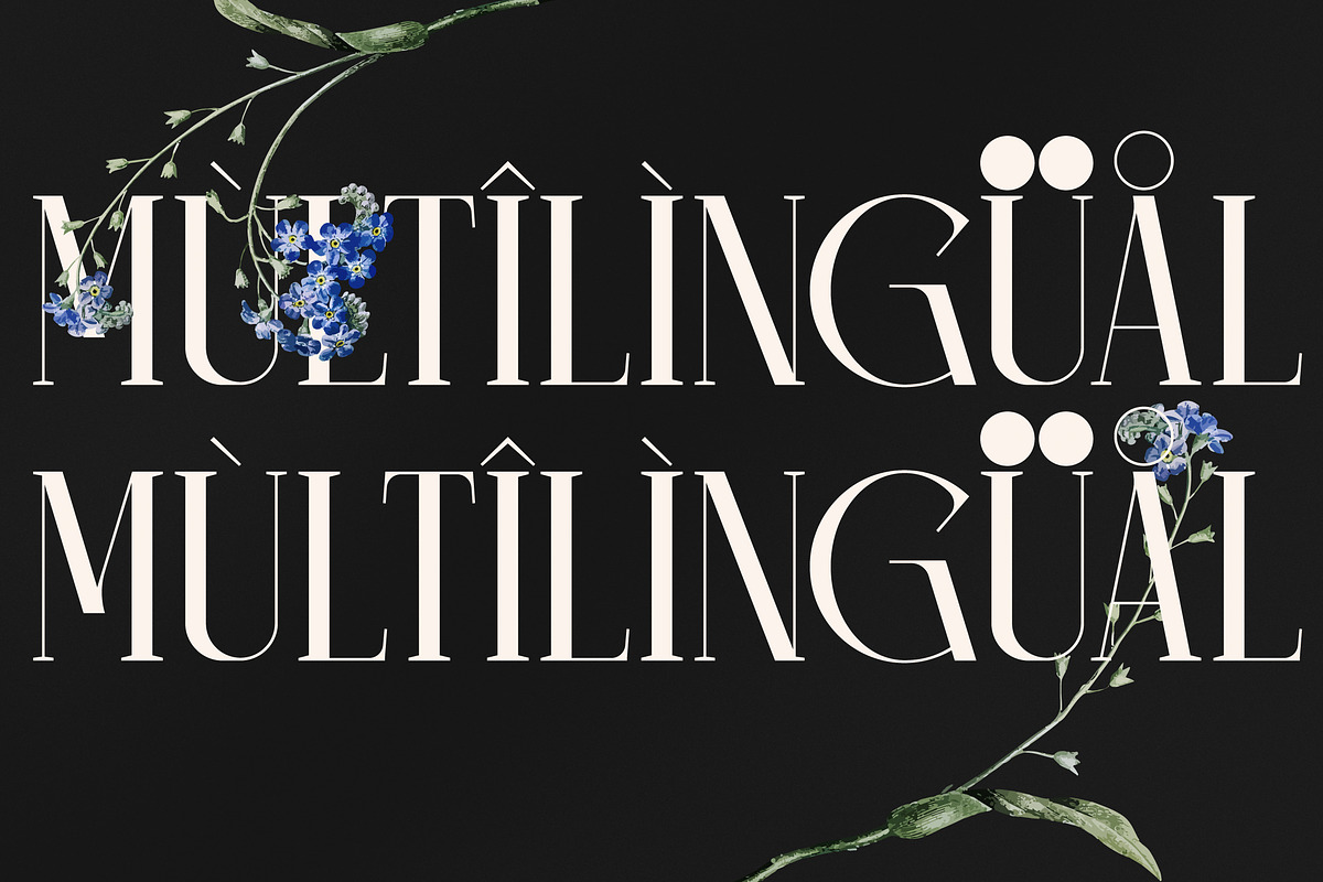 Camaroon Megalord Serif Display Font, a Serif Font by Storytype Studio (Photo 12 of 15)