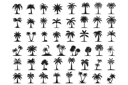 Palms trees icons. Beach palm tree, an Object Illustration by Valerie Bodnar