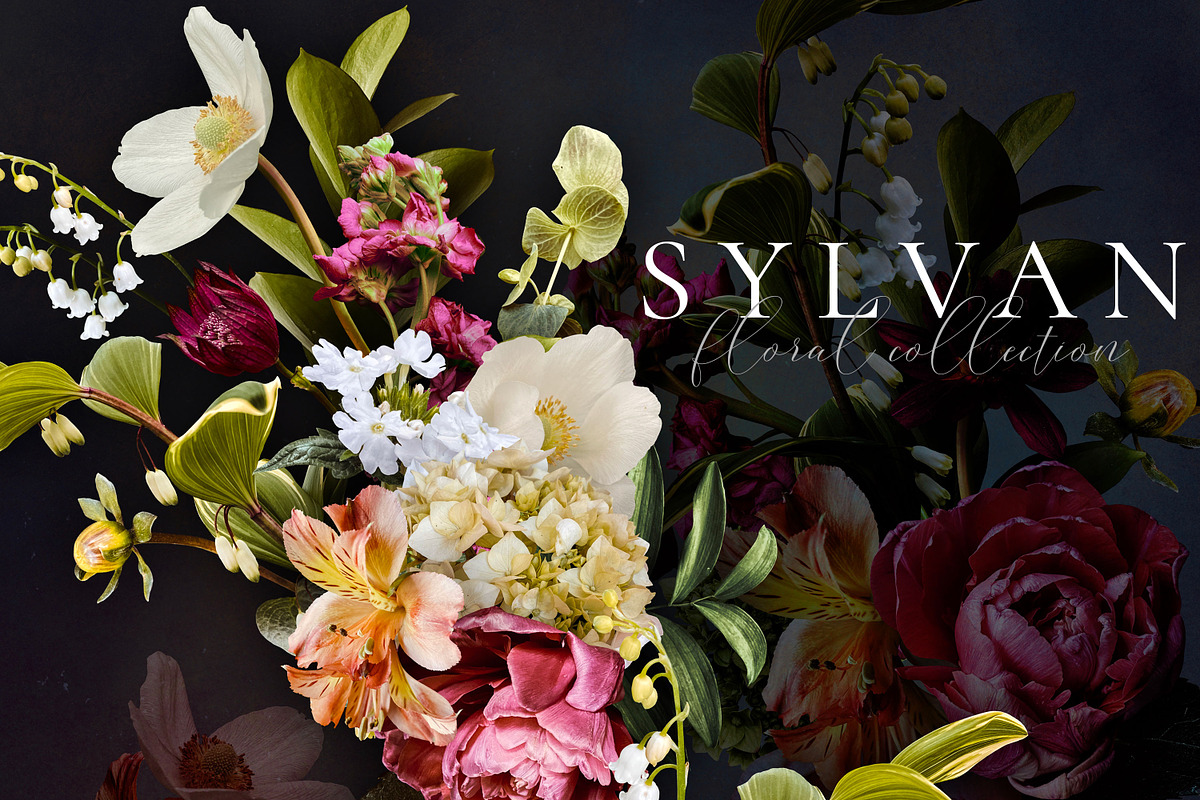 Sylvan Floral Clip Art Collection, an Object Graphic by Eclectic Anthology