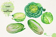 Watercolor Vegetables, Herbs, an Animal Illustration by Graphobia (Thumbnail 5 of 12)