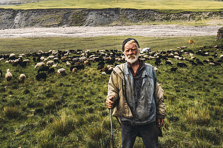 Portrait of shepherd with sheep on a