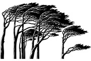 Bring the beauty of the outdoors, an Object Graphic by Designer_Momina (Thumbnail 11 of 15)