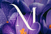 Lovine, a Serif Font by zeenesia (Thumbnail 14 of 17)