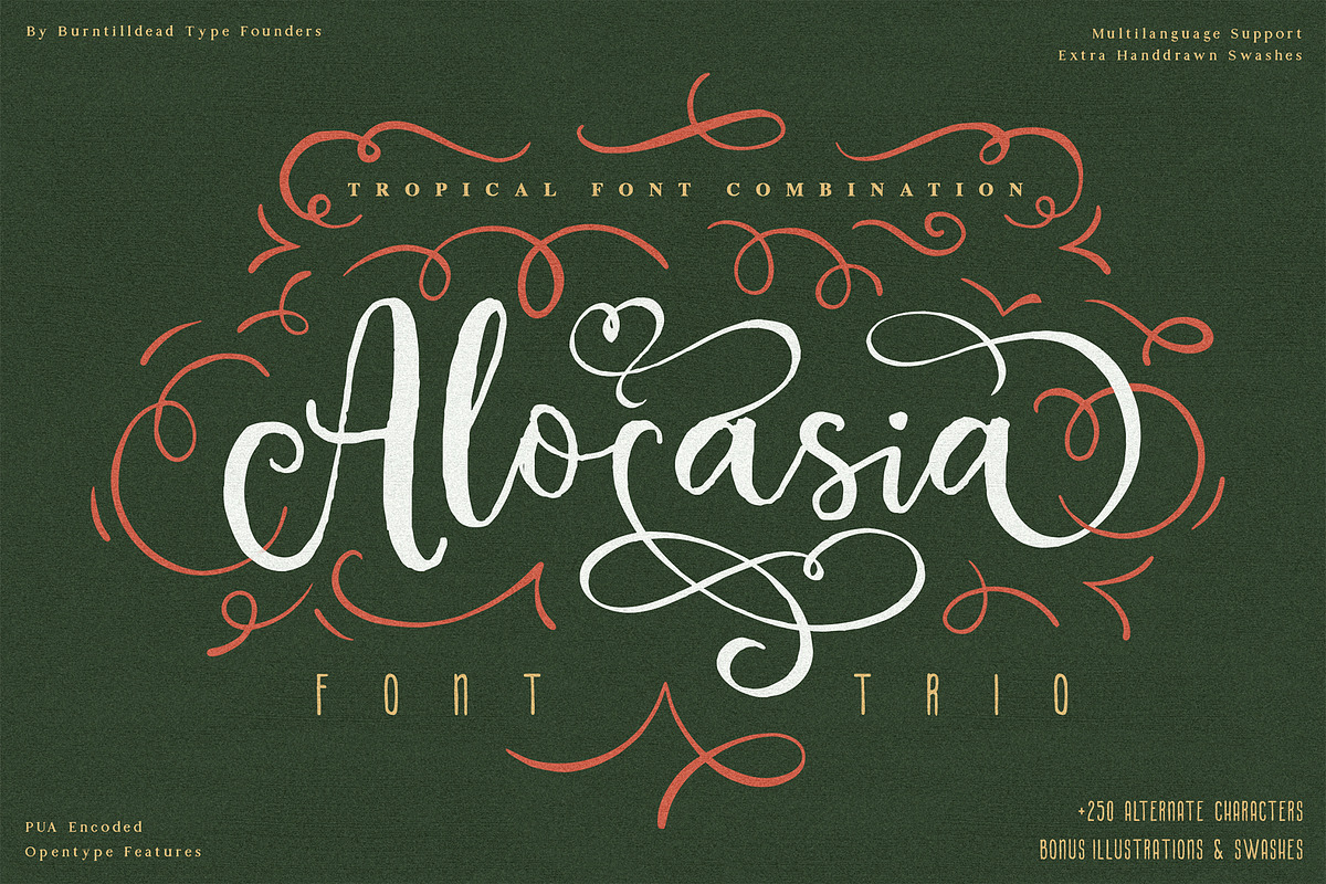 Alocasia-Trio Font Combination