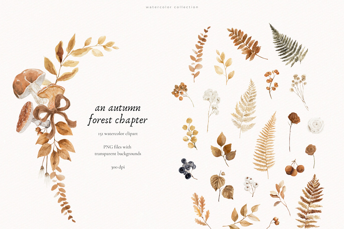 An Autumn Forest Chapter Collection, an Animal Illustration by PeDe Designs (Photo 16 of 29)