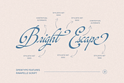 Rinapelle - Vintage Script Font, a Script Font by Get Studio (Thumbnail 4 of 15)
