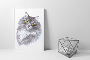 Dogs and Cats portraits, an Object Graphic by ViktoriArt (Thumbnail 4 of 8)