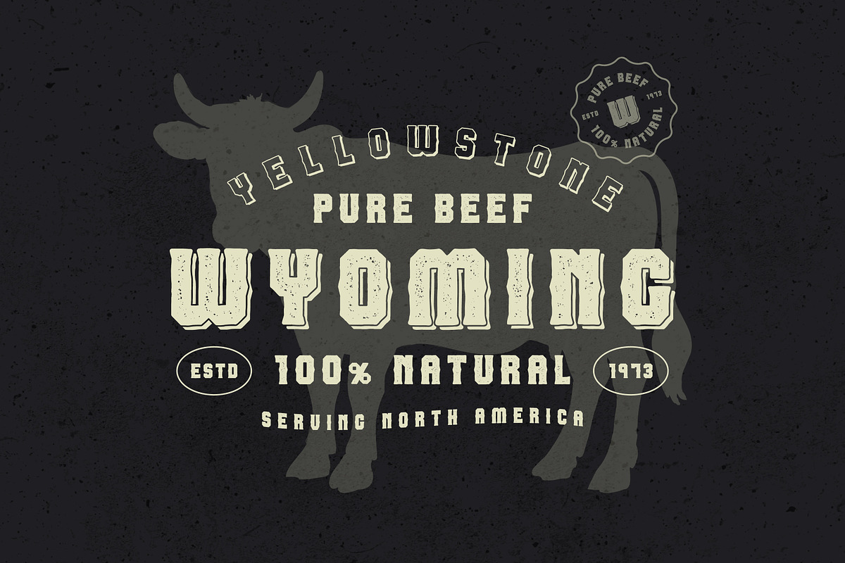 Skunk Beer, a Font by Dead Moose Studio (Photo 9 of 11)