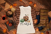 Pumpkins bundle., an Illustration by EphrazyGraphics (Thumbnail 3 of 4)