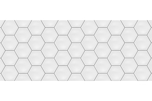 White Hexagon Ceramic Tiles