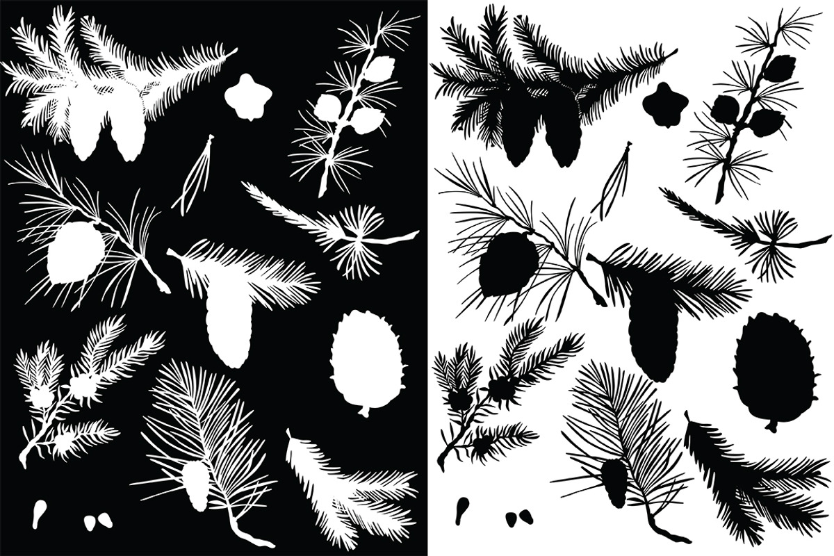 Vector fir branches, an Illustration by risovanya (Photo 4 of 4)