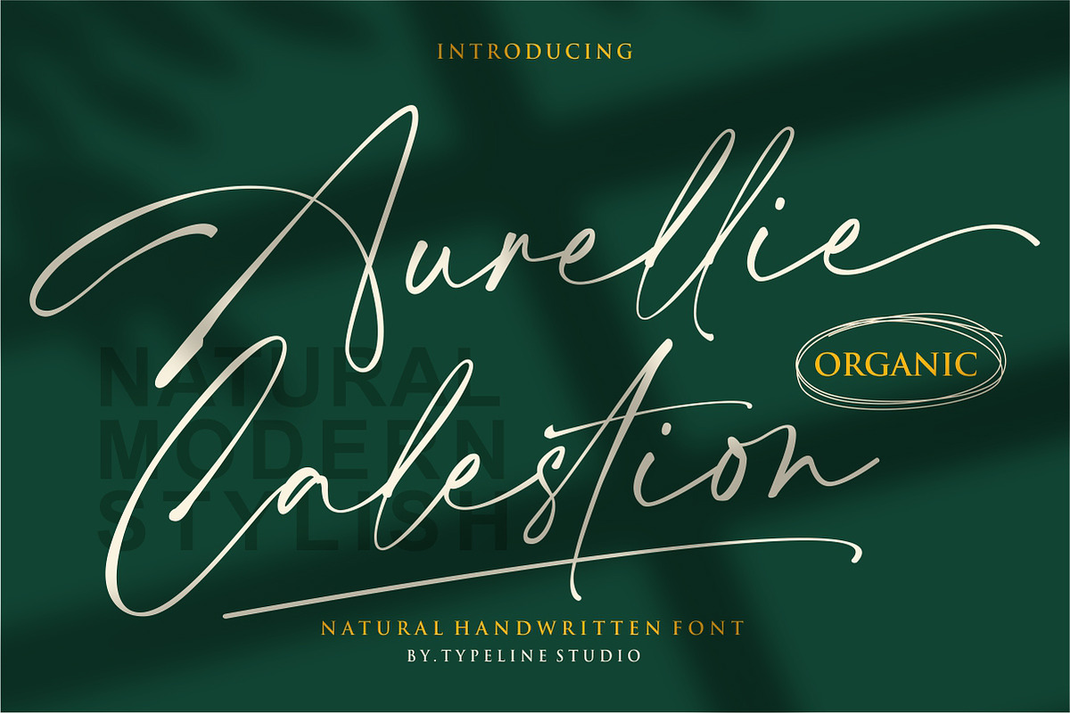 Aurellie Calestion Signature Font, a Script Font by typeline studio (Photo 1 of 10)