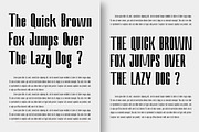 Nevary Modern Sans Family | 75% OFF, a Sans Serif Font by Lettertype Studio (Thumbnail 14 of 20)