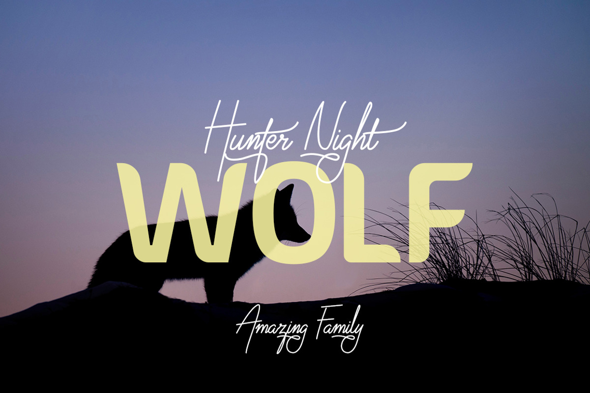 Virginia Od // Luxury Signature Font preview 4