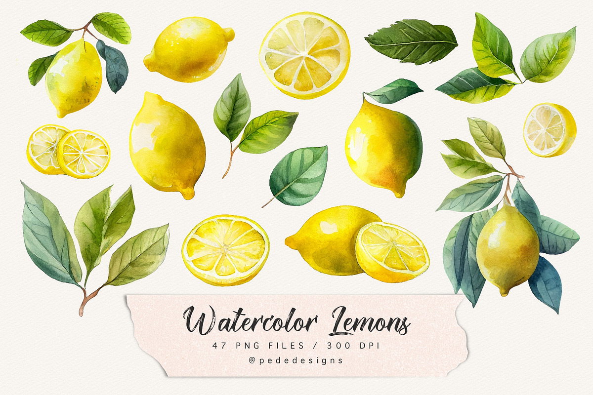 Watercolor Lemons, a Food Illustration by PeDe Designs (Photo 2 of 4)