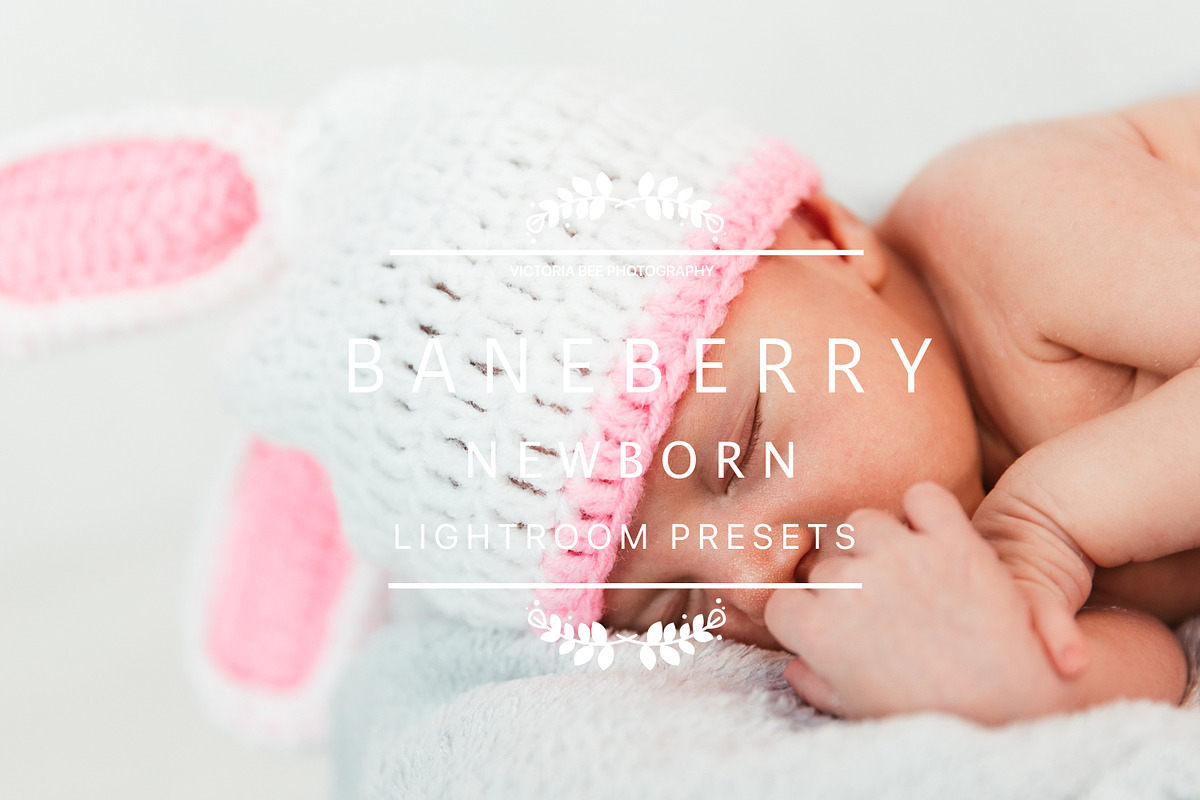 Desktop Lightroom Presets BANEBERRY preview 8