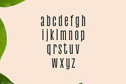 Galvin Slab Serif Font Family Pack, a Handwritten Font by Creativetacos (Thumbnail 2 of 5)