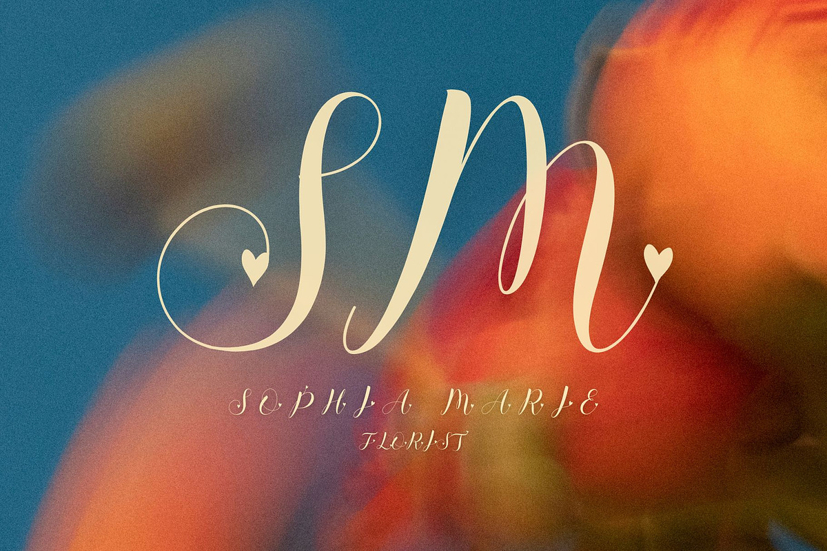 Elegant Handwritten Script Font, a Script Font by elfy creative (Photo 4 of 5)
