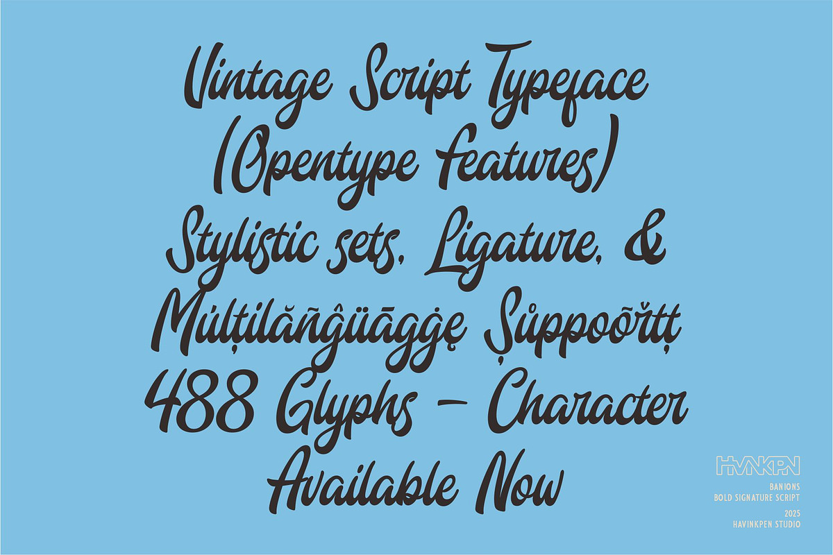 Banions | Bold Signature Script, a Script Font by Havinkpen (Photo 6 of 10)