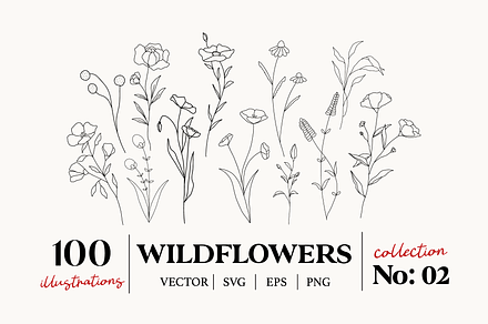 Wildflowers Line Art Botanicals No.2, a Texture Illustration by Kaya Fonts