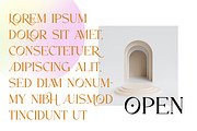 Moles - Serif Display Ligature Font, a Serif Font by Vesvocrea (Thumbnail 3 of 9)