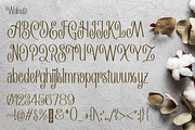 Walnutz - Beauty Decorative Fonts, a Sans Serif Font by Konstantine Studio (Thumbnail 4 of 4)