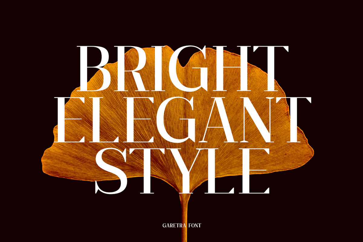 Garetra Serif Font Family, a Serif Font by Letterhend Studio (Photo 8 of 10)