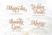 Haydenta - Calligraphic Script, a Script Font by Novitype (Thumbnail 10 of 12)
