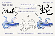 12 Chinese Zodiac Animals set, an Animal Illustration by Alena Solonshchikova (Thumbnail 12 of 13)
