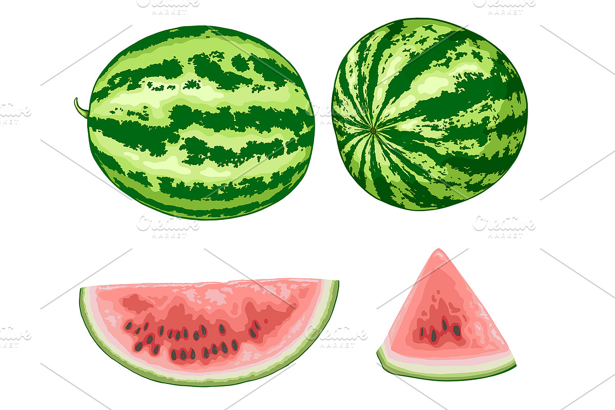 Sweet Watermelon Design Kit, a Food Illustration by Artspace (Photo 4 of 4)