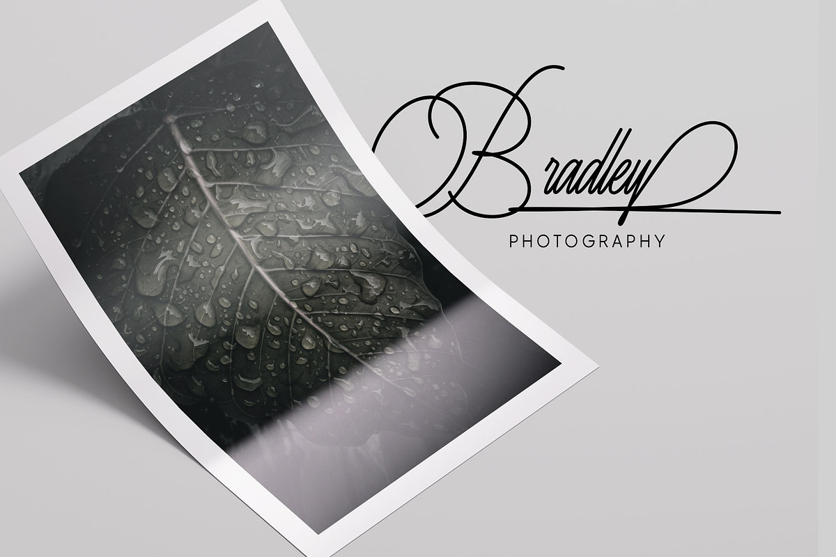 Risemotion Signature Font, a Script Font by Lemonthe (Photo 9 of 12)