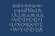 Stokeda Thin Modern Serif Font, a Serif Font by timelesstype.co (Thumbnail 14 of 15)