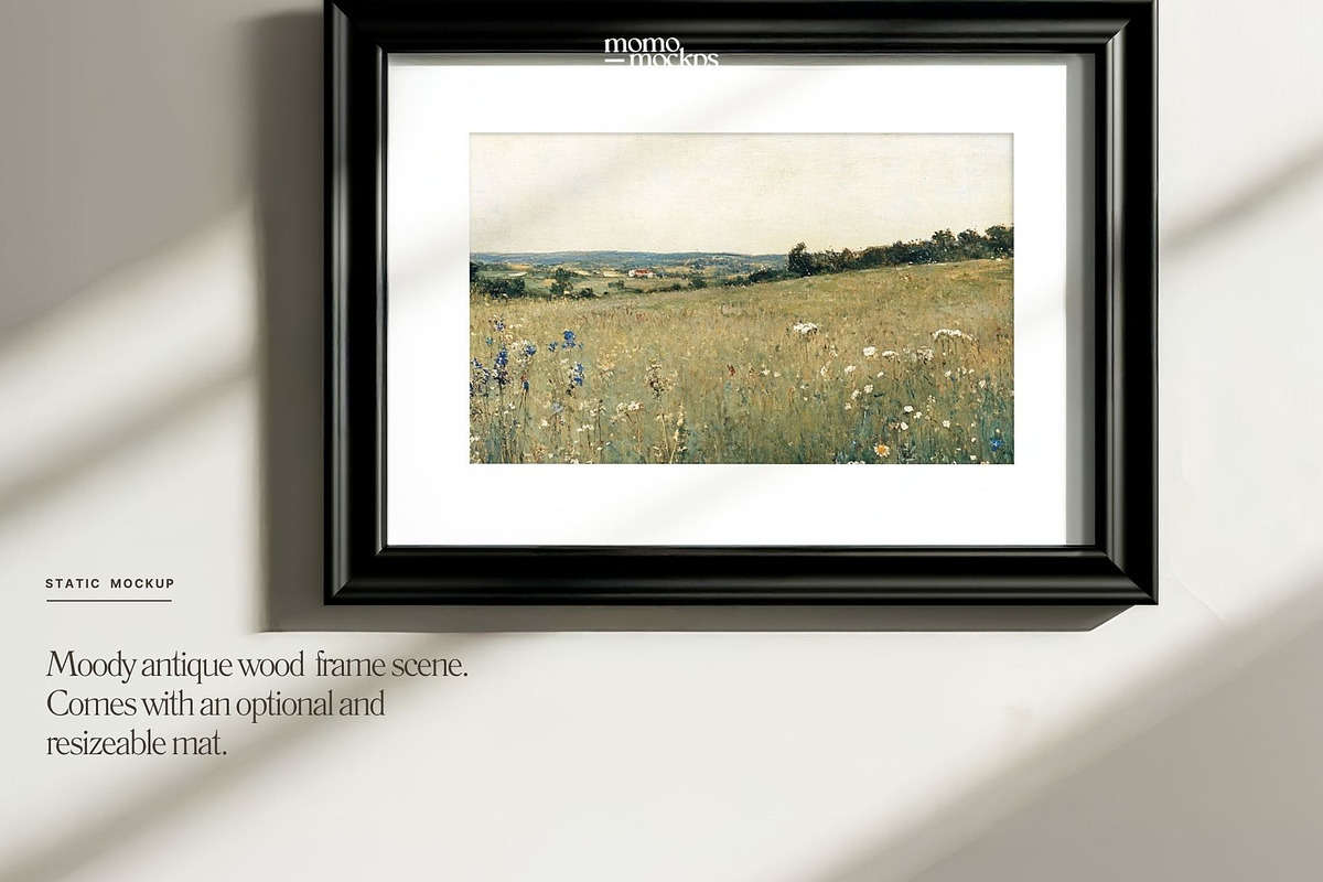 Horizontal Vintage Frame Mockup, a Household Mockup by momomockps (Photo 2 of 13)