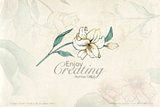 Vintage Garden Flowers, a Decorative Illustration by Evenif (Thumbnail 22 of 22)
