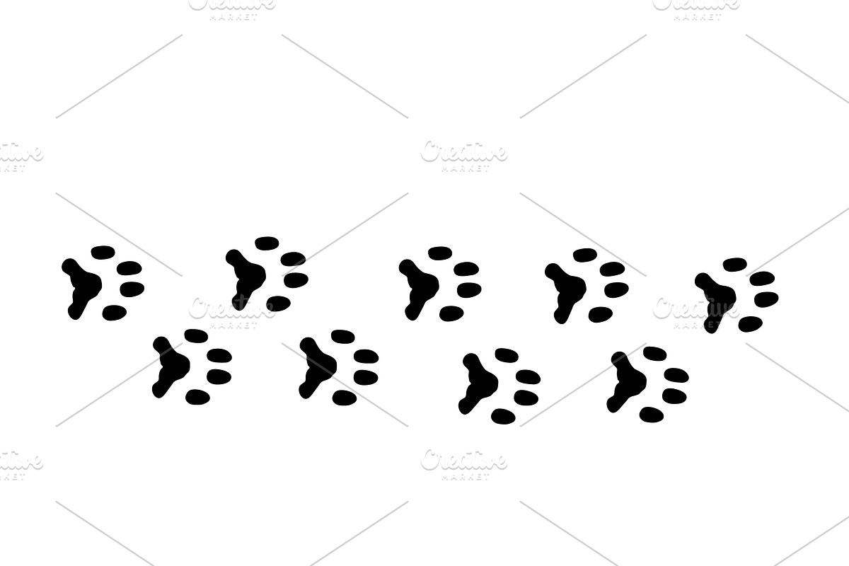 Cat svg, Funny Cats Vector Cut Files, an Animal Illustration by Watercolor_Vector Graphic (Photo 22 of 25)