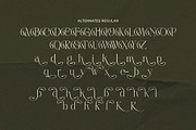 LT Rogile - Modern Serif Typeface, a Serif Font by Luminotype (Thumbnail 18 of 20)