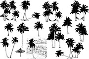 Palm tree collection (Vector), an Object Graphic by ArtOwl (Thumbnail 8 of 10)
