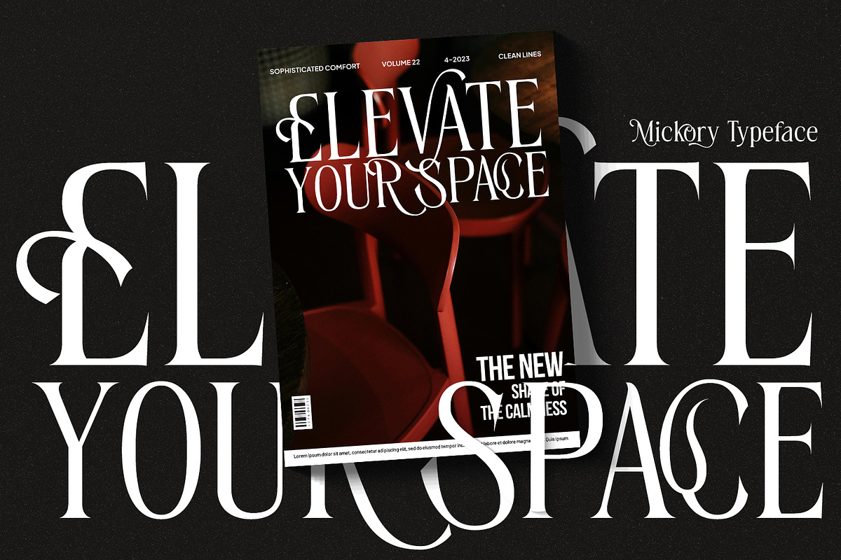 Mickory, a Serif Font by din-studio.com (Photo 9 of 11)