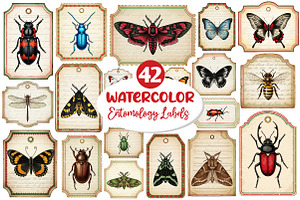 Entomology Labels, Insects Tags, an Illustration by Dream Creation