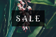 Ciera watercolor svg font & florals, a Script Font by Angele Kamp (Thumbnail 6 of 10)