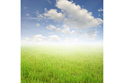 50 Fields background Set 01, a Texture Graphic by FWStudio (Thumbnail 10 of 13)
