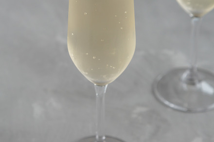 Cold Bubbly Champagne in a Glass on a gray background, side view, a Food & Drink Photo by LiudmylaChuhunova