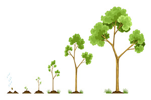 Stages growth of tree from, an Object Illustration by Things for designers